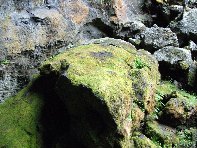 otta Intraleo-20100515 034